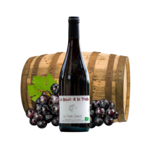 vin Coteaux du lyonnais terre grasse
